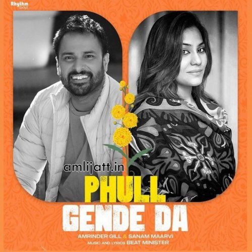 Phull Gende Da Amrinder Gill, Sanam Maarvi mp3 song download, Phull Gende Da Amrinder Gill, Sanam Maarvi full album