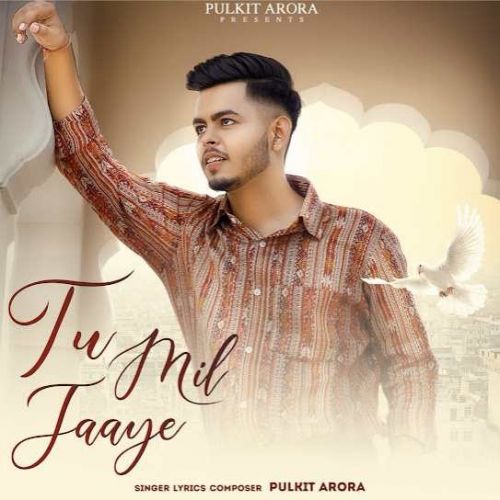 Tu Mil Jaaye Pulkit Arora mp3 song download, Tu Mil Jaaye Pulkit Arora full album