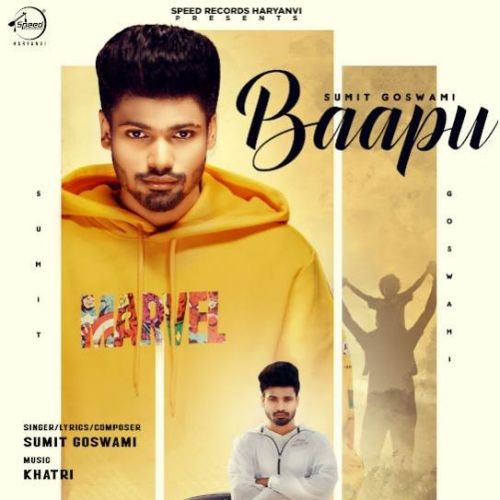 Baapu Sumit Goswami mp3 song download, Baapu Sumit Goswami full album