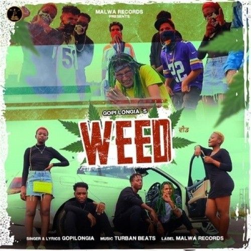 WEED Gopi Longia mp3 song download, WEED Gopi Longia full album