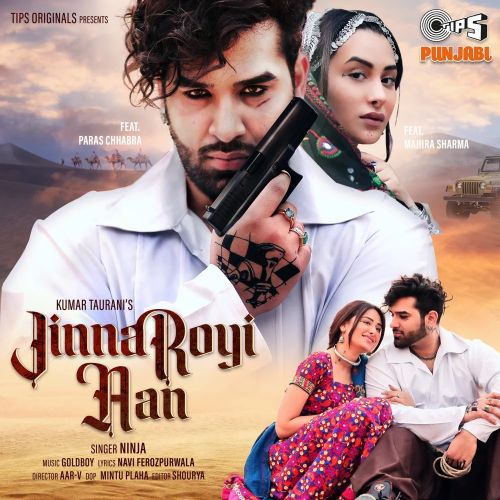 Jinna Royi Aan Ninja mp3 song download, Jinna Royi Aan Ninja full album