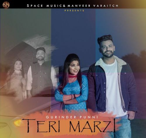 Teri Marji Gurinder Punni mp3 song download, Teri Marji Gurinder Punni full album