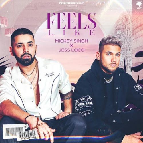 Feels Like Mickey Singh mp3 song download, Feels Like Mickey Singh full album