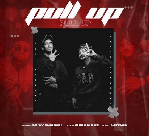 Pull Up Savvy Dhaliwal mp3 song download, Pull Up Savvy Dhaliwal full album