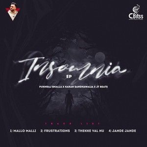 Jande Jande Pukhraj Bhalla mp3 song download, Insomnia - EP Pukhraj Bhalla full album