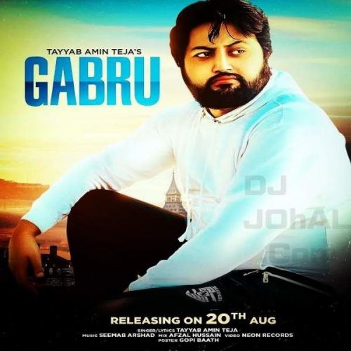 Gabru Tayyab Amin Teja mp3 song download, Gabru Tayyab Amin Teja full album