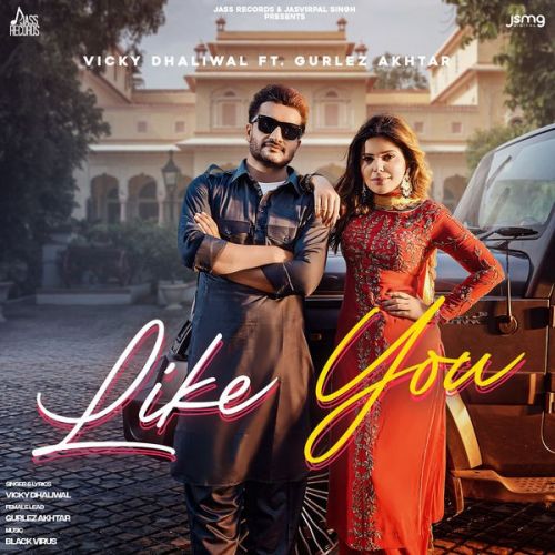 Like You Vicky Dhaliwal mp3 song download, Like You Vicky Dhaliwal full album