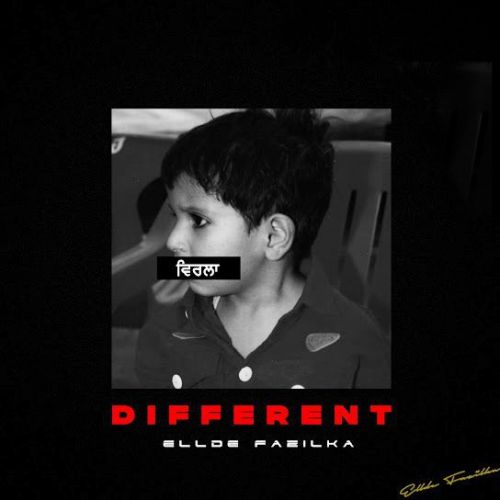 Ammo Ellde Fazilka mp3 song download, Different (Mix Tape) Ellde Fazilka full album