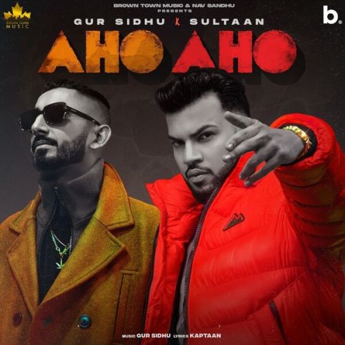 Aho Aho Gur Sidhu, Sultaan mp3 song download, Aho Aho Gur Sidhu, Sultaan full album