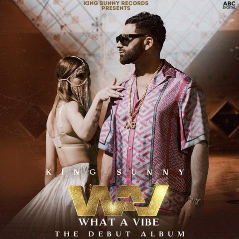 Phullan Wargi King Sunny mp3 song download, WAV (What A Vibe) King Sunny full album