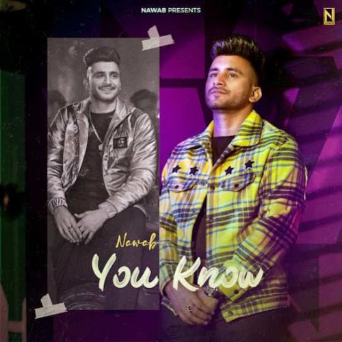 You Know Nawab mp3 song download, You Know Nawab full album