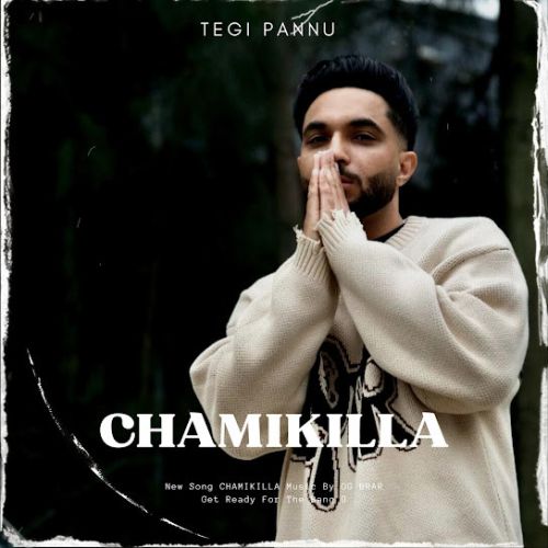 Chamikilla Tegi Pannu mp3 song download, Chamikilla Tegi Pannu full album