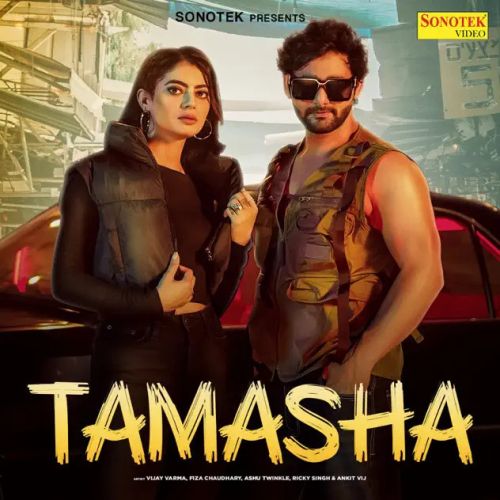 Tamasha Ashu Twinkle mp3 song download, Tamasha Ashu Twinkle full album