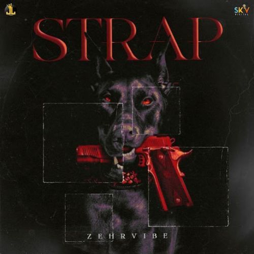 STRAP Zehr Vibe mp3 song download, STRAP Zehr Vibe full album