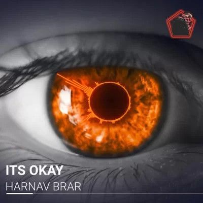 Its Okay Harnav Brar mp3 song download, Its Okay Harnav Brar full album