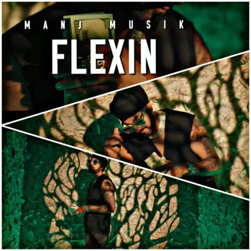 Flexin Manj Musik mp3 song download, Flexin Manj Musik full album