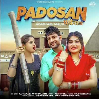 Padosan Raj Mawer, Ruchika Jangid mp3 song download, Padosan Raj Mawer, Ruchika Jangid full album