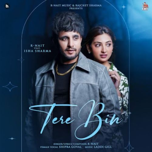 Tere Bin R. Nait mp3 song download, Tere Bin R. Nait full album