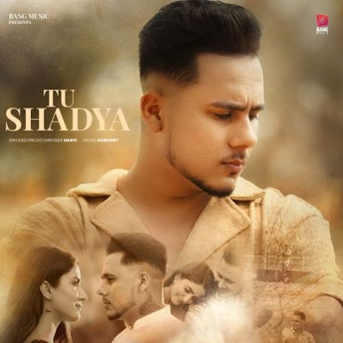 Tu Shadya Harvi mp3 song download, Tu Shadya Harvi full album