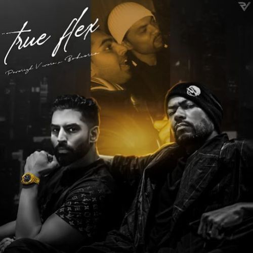 True Flex Parmish Verma mp3 song download, True Flex Parmish Verma full album