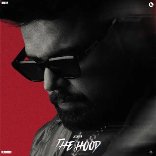 Dil Ninja mp3 song download, The Hood Ninja full album