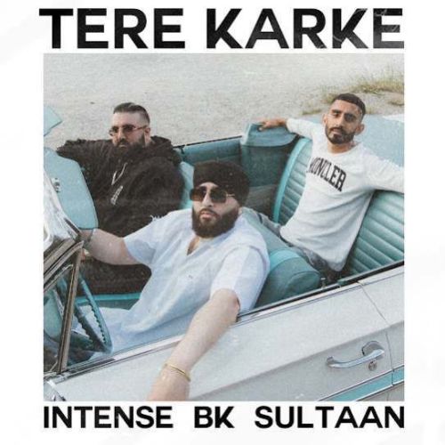 Tere Karke BK, Sultaan mp3 song download, Tere Karke BK, Sultaan full album