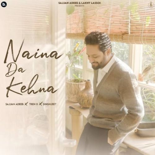 Naina Da Kehna Sajjan Adeeb mp3 song download, Naina Da Kehna Sajjan Adeeb full album