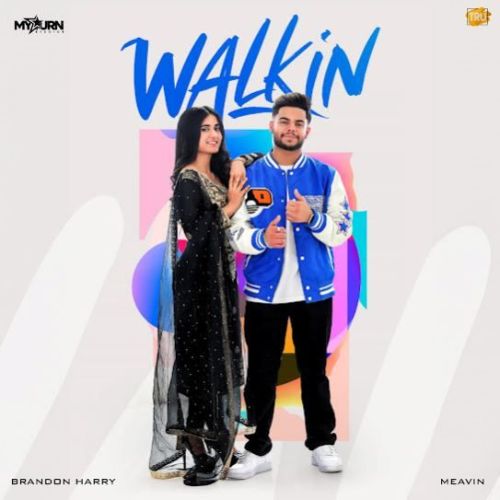 Walkin Brandon Harry mp3 song download, Walkin Brandon Harry full album