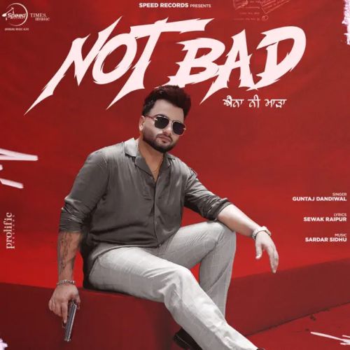 Not Bad Guntaj Dandiwal mp3 song download, Not Bad Guntaj Dandiwal full album