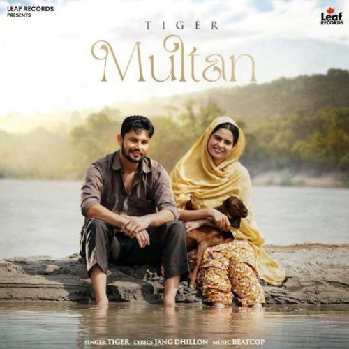 Multan Tiger mp3 song download, Multan Tiger full album