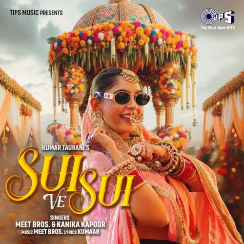 Sui Ve Sui Meet Bros, Kanika Kapoor mp3 song download, Sui Ve Sui Meet Bros, Kanika Kapoor full album