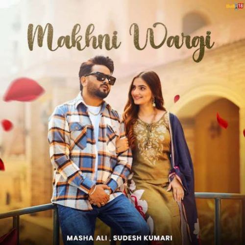 Makhni Wargi Masha Ali mp3 song download, Makhni Wargi Masha Ali full album