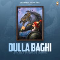 Dulla Baghi Anmol Deol mp3 song download, Dulla Baghi Anmol Deol full album