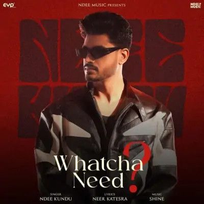 Whatcha Need Ndee Kundu mp3 song download, Whatcha Need Ndee Kundu full album