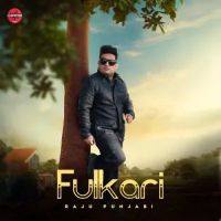 Fulkari Raju Punjabi mp3 song download, Fulkari Raju Punjabi full album