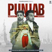 Punjab Tippu Sultan, Inder Dhillon mp3 song download, Punjab Tippu Sultan, Inder Dhillon full album