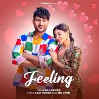 Feeling Raj Mawer mp3 song download, Feeling Raj Mawer full album