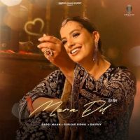 Mera Dil Sargi Maan mp3 song download, Mera Dil Sargi Maan full album