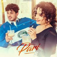 Pari Diler Kharkiya, Shiva Choudhary mp3 song download, Pari Diler Kharkiya, Shiva Choudhary full album