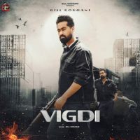 Vigdi Gill Gogoani mp3 song download, Vigdi Gill Gogoani full album