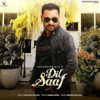 Dil Saaf Nachhatar Gill mp3 song download, Dil Saaf Nachhatar Gill full album