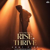 Set Jatt Ammy Virk mp3 song download, Rise & Thrive Ammy Virk full album