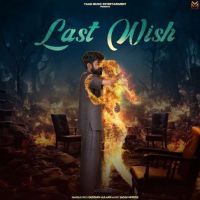 Last Wish Gustakh Aulakh mp3 song download, Last Wish Gustakh Aulakh full album