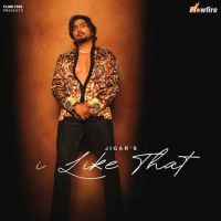 I Like That Jigar mp3 song download, I Like That Jigar full album