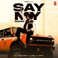 Say My Name Satkar Sandhu mp3 song download, Say My Name Satkar Sandhu full album