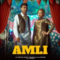 Amli Preet Pablo mp3 song download, Amli Preet Pablo full album