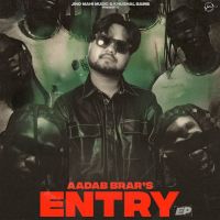 Cheat Aadab Brar mp3 song download, Entry Aadab Brar full album