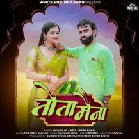 Tota Maina Pawan Pilaniya, Nonu Rana mp3 song download, Tota Maina Pawan Pilaniya, Nonu Rana full album